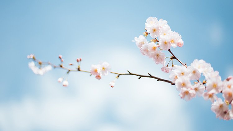bob手机网页版登录入口(官方网站)APP下载